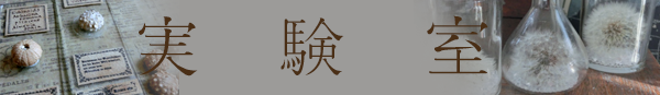 実験室