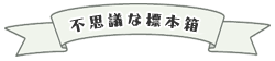 不思議な標本箱