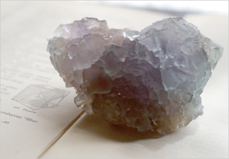 �z���|�X�g�J�[�hVir.01