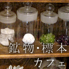 鉱物カフェ